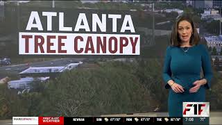 Atlanta City Council to vote on tree protection ordinance