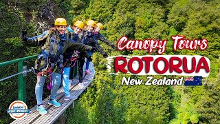 Ancient Forest ZIPLINE  Canopy Tours RotoruaBest Things In New Zealand  | 197 Countries, 3 Kids