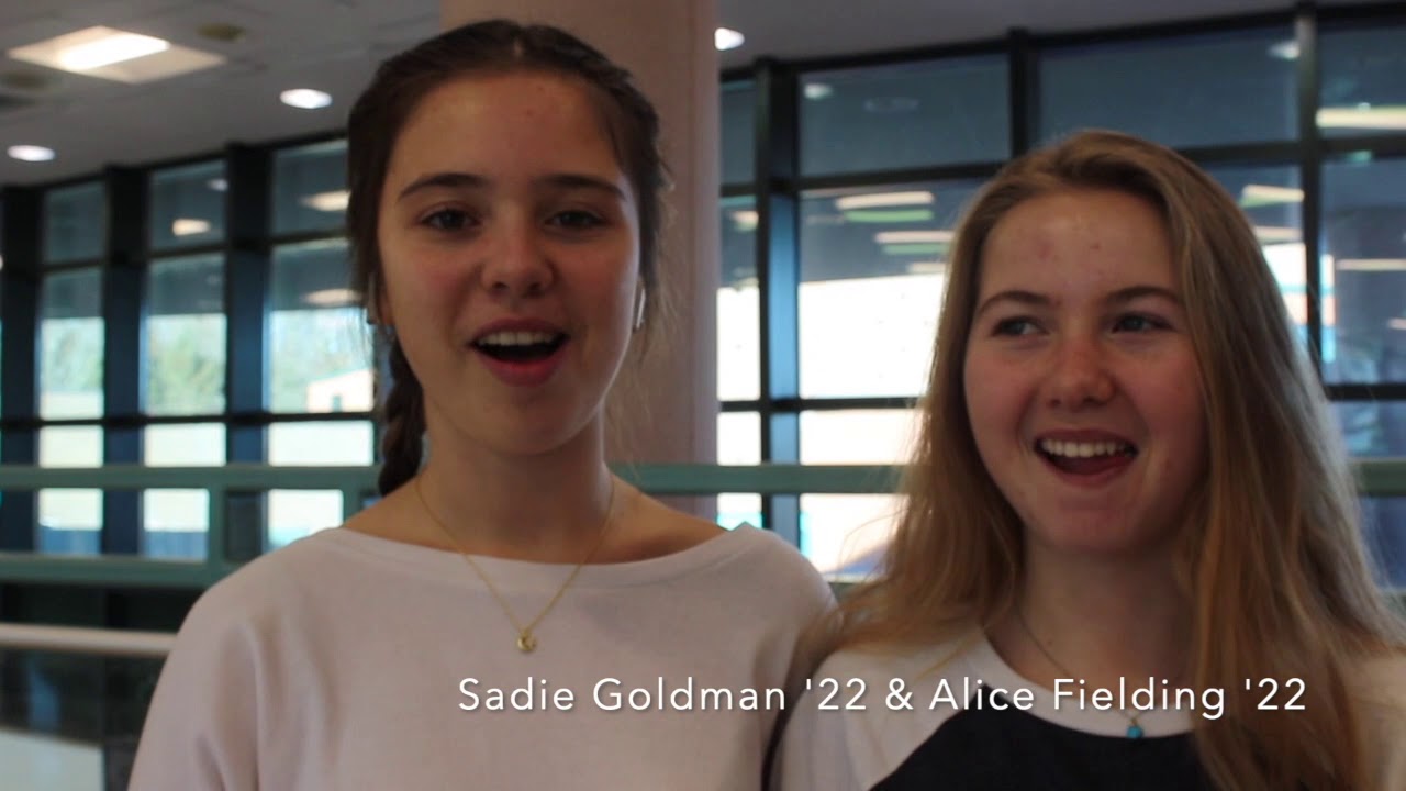 Is the Westport Library an effective place for studying ?