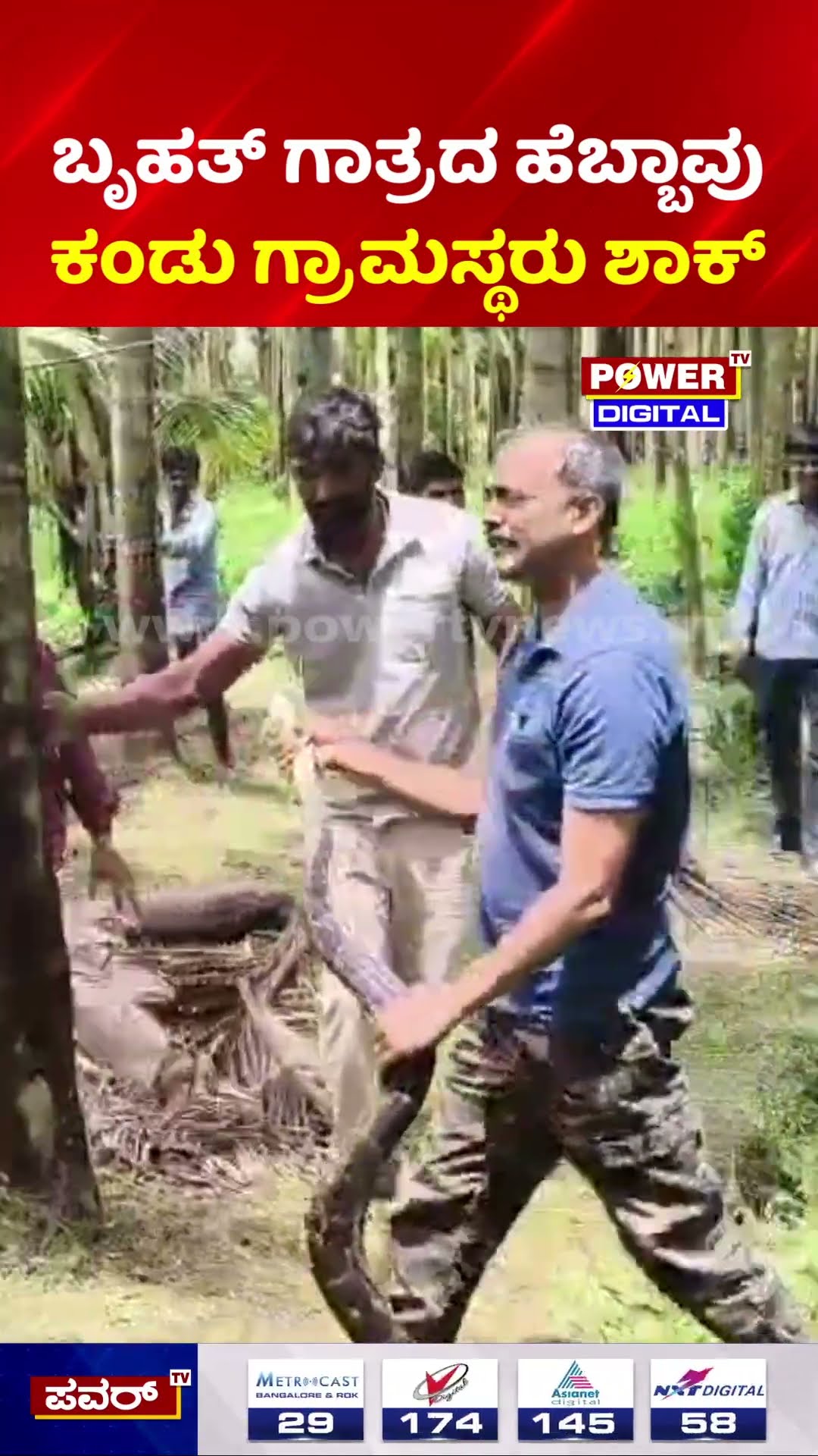 Shivamogga Snake Rescue: ಬೃಹತ್​ ಗಾತ್ರದ ಹೆಬ್ಬಾವು ಕಂಡು ಗ್ರಾಮಸ್ಥರು ಶಾಕ್​