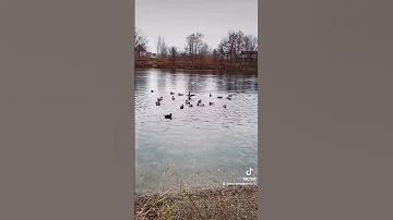 فيروز من زمان وزمان 