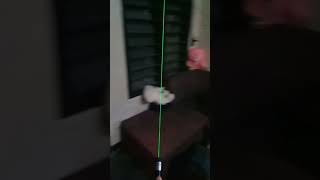 Powerful 87mw Green Laser (303) visible on smokey room