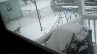 Blizzard 09 12.20.09.AVI