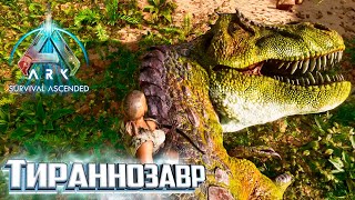 Тираннозавр и АЛЬФА Раптор - ARK Survival ASCENDED Выживание #6