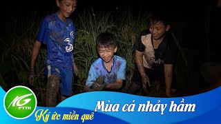 Ký ức miền quê | Mùa cá nhảy hầm | THKG