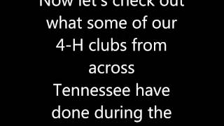 TSC 4 H Paper Clover ideas (TN - 2014)