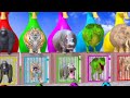 Long Slide Game With Cow Elephant Gorilla Hippopotamus Tiger - 3d Animal Game - Funny 3d Animals