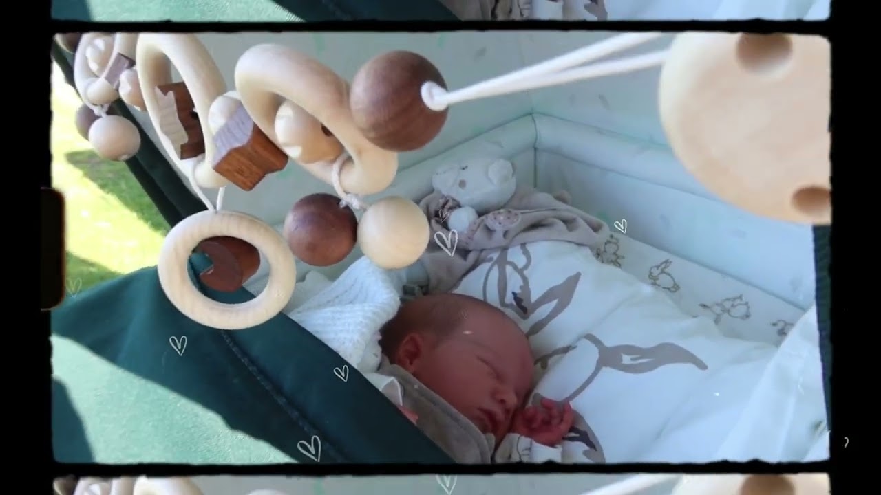 Reborn baby outing | Landeau MG | SilverCross