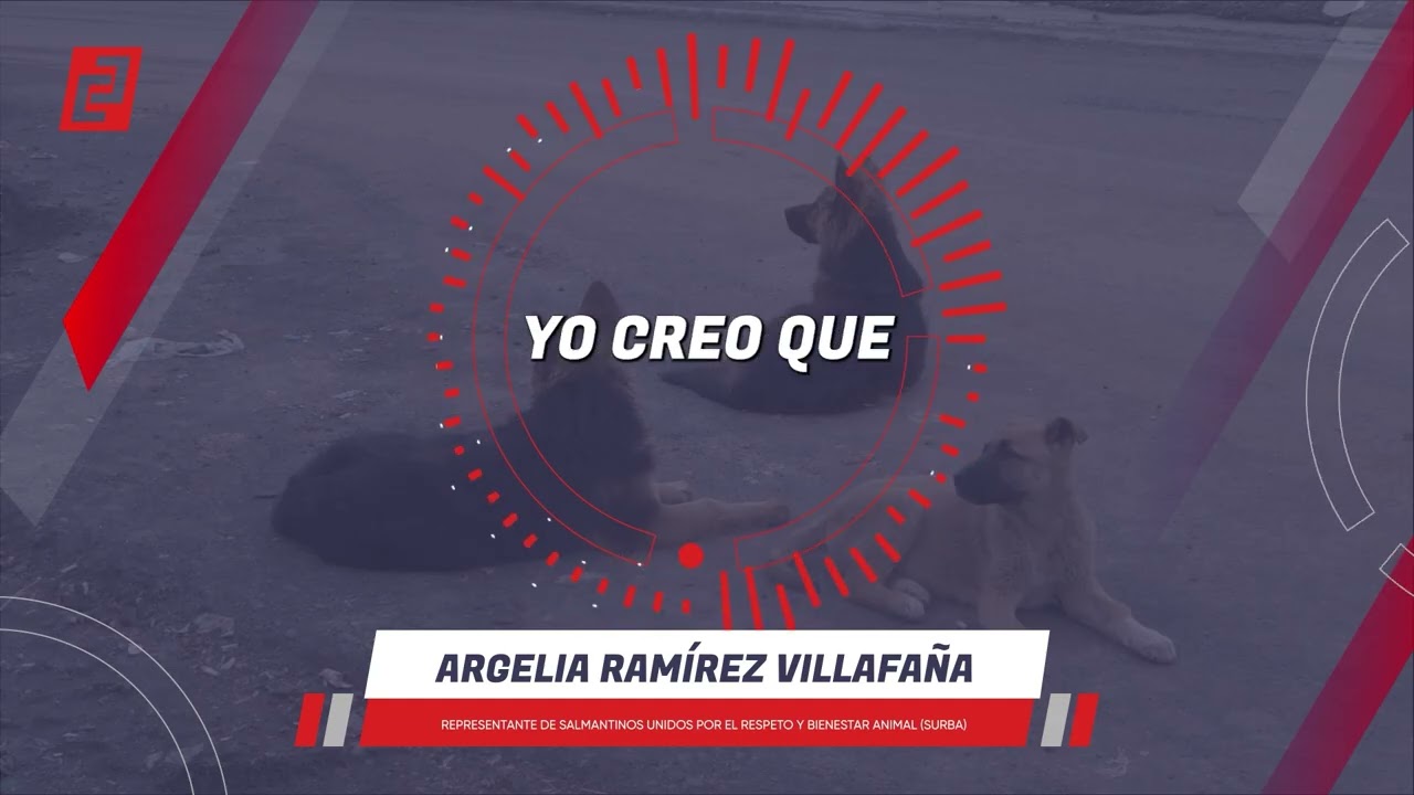 Pirotecnia desata crisis extravío de perros en Salamanca
