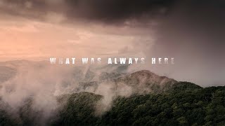 What Was Always Here Davis Busbee 2025