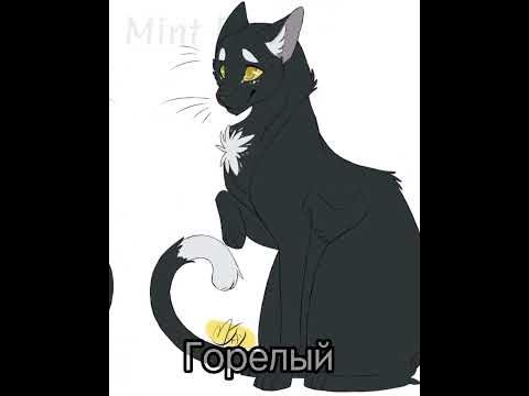 ~Горелый~Коты Воители~ - YouTube