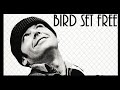 Qualcuno vol sul nido del cuculo  bird set free sia  tribute spoilers