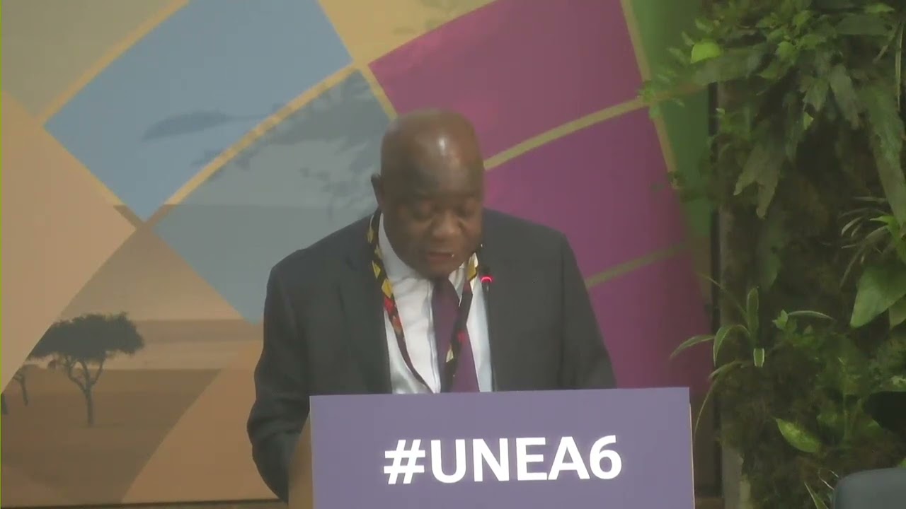 Discurso de Moçambique na Unea-6: Embaixador Jeronimo Chivavi (em inglês)