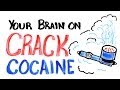 Your Brain on Crack Cocaine