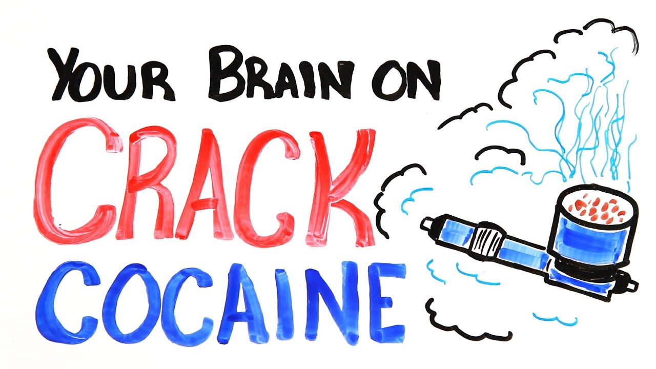 Your Brain on Crack Cocaine