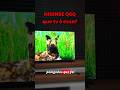 Hisense Q6QV que tv é essa? É boa?