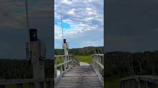 Stunning Noosa River Views Peaceful Nature Sounds Relaxing Scenic