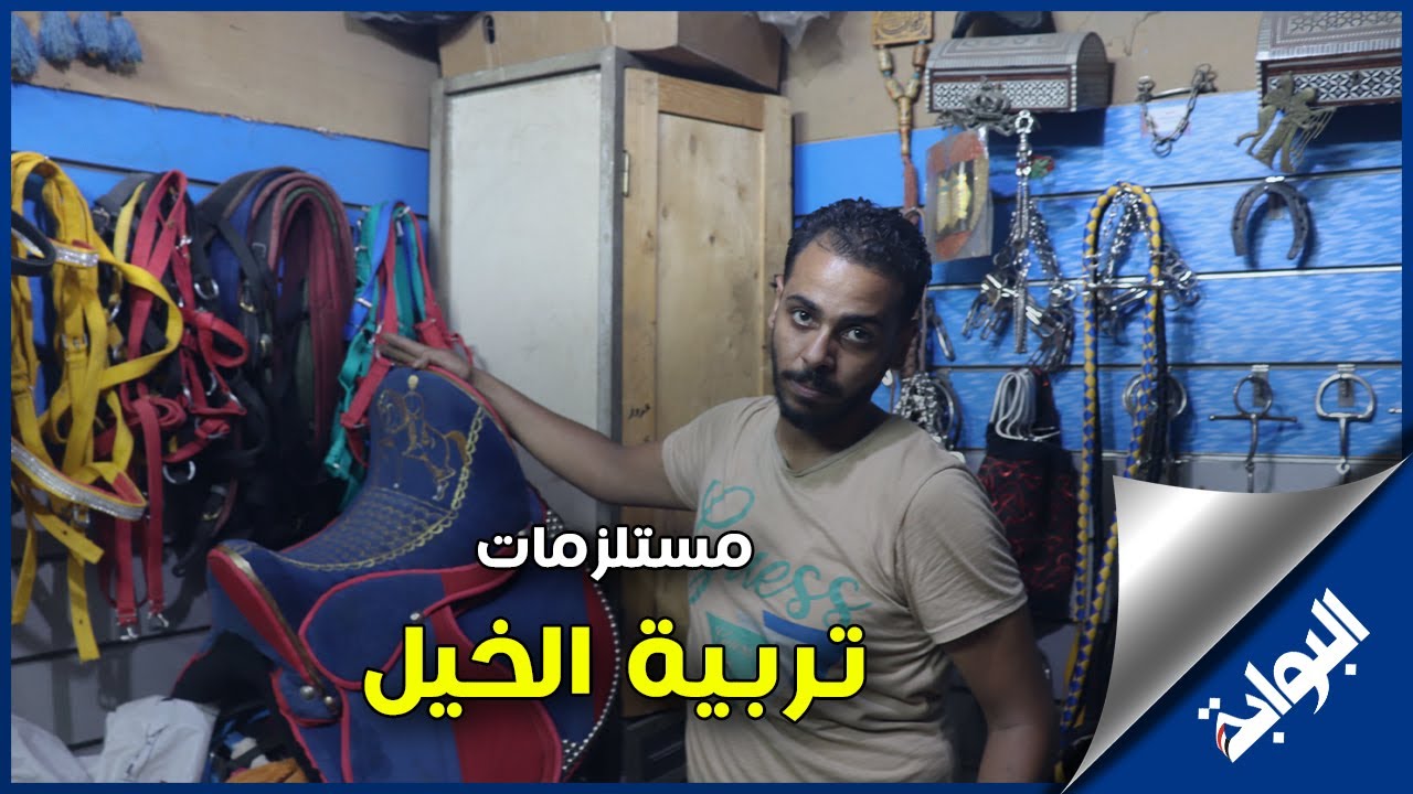 مستلزمات الحصان.. إسلام عزوز يكشف أهم النصائح لتربية الخيول