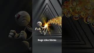 Dogs like sticks compilation