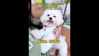 怀疑我家两只狗性别搞反了… #zeal狗罐头 #zeal #超级zeal超级宠你 #万物可爱计划#狗罐头