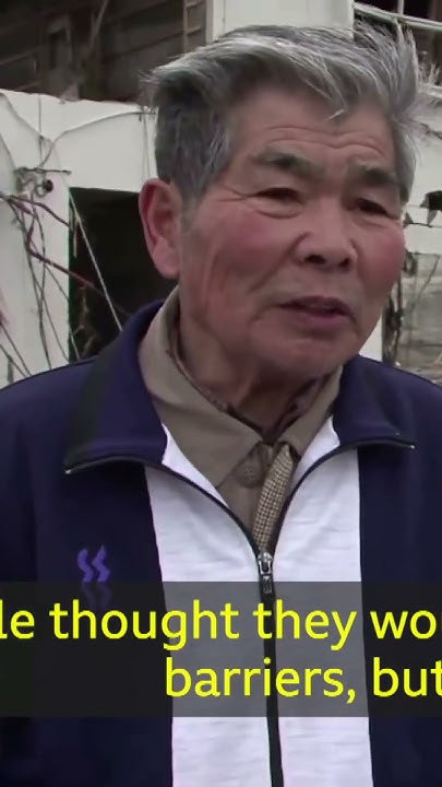 Fukushima tsunami incident