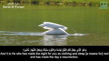 سورة الفرقان - سعد الغامدي - مترجم | Surah Al Furqan - Saad Alghamdi - English subtitles