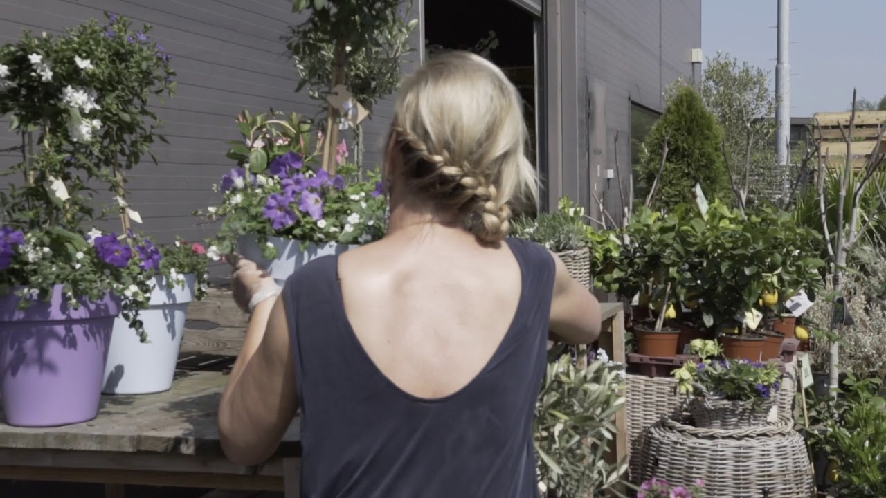 Promotie De Groene Loods Zomer 2018