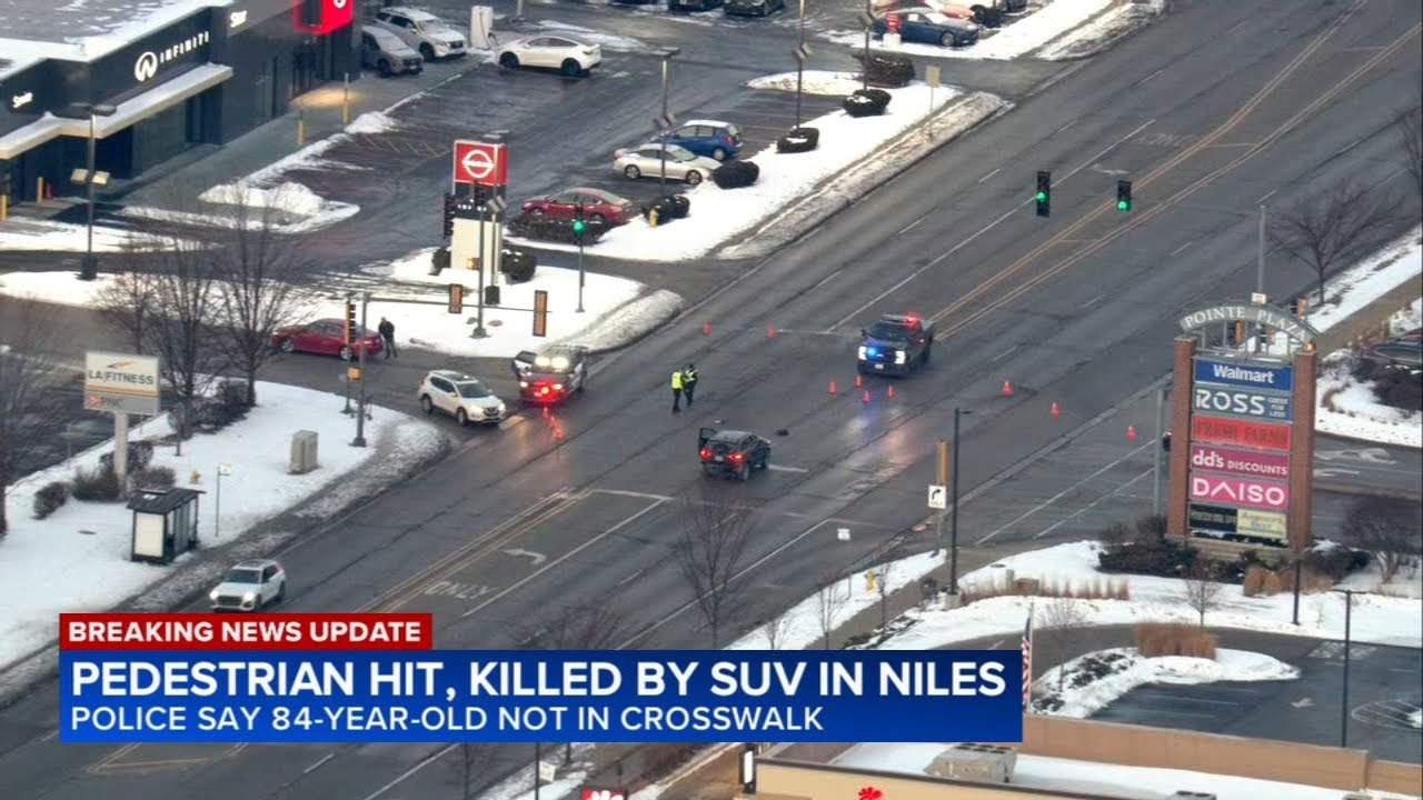Pedestrian struck, killed, Niles police say