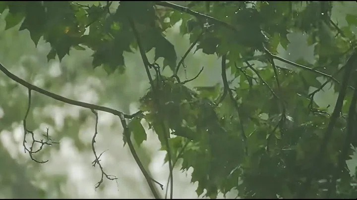Permanent Link to HEAVY RAIN And THUNDERSTORMS- 11 Hours of Real Rain Forest Sounds and Thunder (DEEP SLEEP)