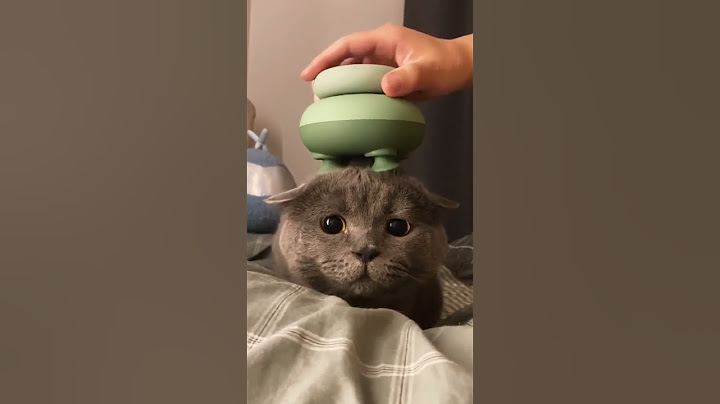 NEW 2023 Cat Massager!