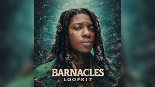 Sahbabii Loop Kit/Sample Pack "Barnacles" |Lil Uzi Vert, Lil Tecca, Sofaygo