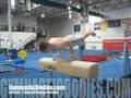 Learn Gymnastics Bent Arm Strength - Germans/an explosive pushup to planche