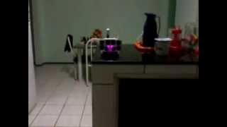 Mini Uno Terrorista #2013