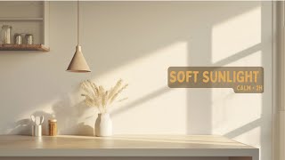 Soft Sunlight Café Ambience ☀️ | Calm Background for Work & Study (No Vocals) | 2 Hours 4K screenshot 4