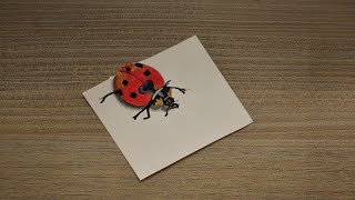 How to Draw Real Ladybug - Easy 3D Drawing of Ladybird for Kids & Beginners - Uğur böceği 3D Çizim screenshot 5