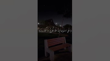 يحذر المنافقون #قران_كريم #القارئ#ياسر_الدوسري #تلاوات_خاشعة #صلوا_على_النبي