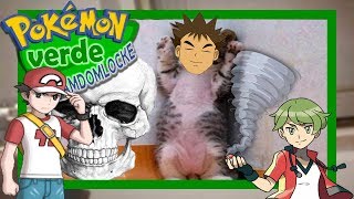 Cuando Brock no es el princiapal problema - Pokémon Verde Hoja Ramdomlocke