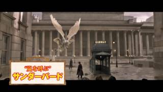 『ファンタスティック・ビーストと魔法使いの旅』DAIGO特別映像[ビースト編]