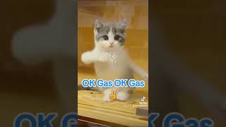 Download Lagu OK Gas OK Gas ✌️ MP3