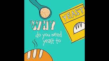 Kids Explain | Yeast