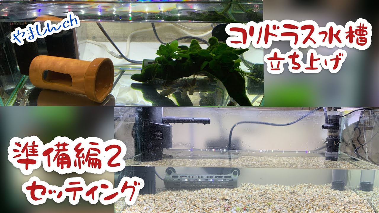 コリドラス水槽 準備編 楽しいセッティング 使用商品の紹介 コリドラス エーハイム ニッソー 外部フィルター 底面フィルター Youtube