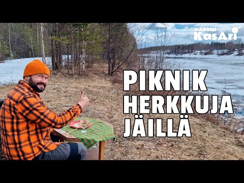 Video: Piknikillä Tanglewoodissa - Piknik-ideoita ja nurmikon säännöt