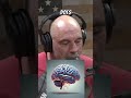 The Mystery of Consciousness: Exploring the Afterlife. #shorts #short #afterlife #heaven #after #joe