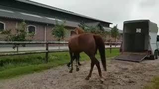 VID-20180602-WA0006.mp4