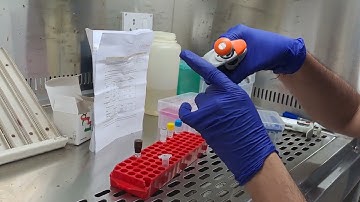 DiAGSure® HPV 16 High Risk Genotypes Detection Kit