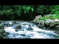 Flowing River Sounds to Clear Your Mind (4K)