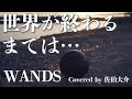 【スラムダンク】世界が終わるまでは・・・ WANDS / Covered by 佐伯大介