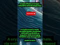 A cryptocurrency whale, via wallet 0xaf6c, purchased 1,390 #trading #decrypto #securecrypto