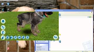 Dogz 6 all tricks with explain !