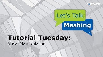 The View Manipulator